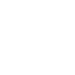 Oculus